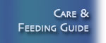 Care and Feeding Guide