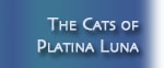 The Cats of Platina Luna