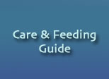 care and feeding